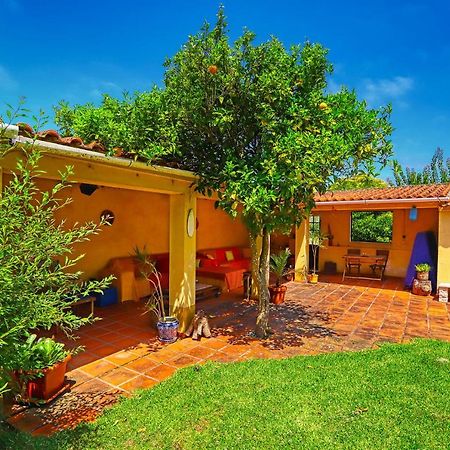 Bed and Breakfast Lugar Saloio Sintra Mem Martins Exterior foto