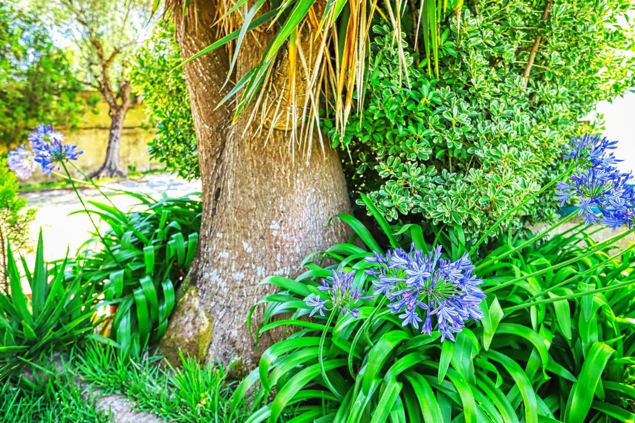 Bed and Breakfast Lugar Saloio Sintra Mem Martins Exterior foto